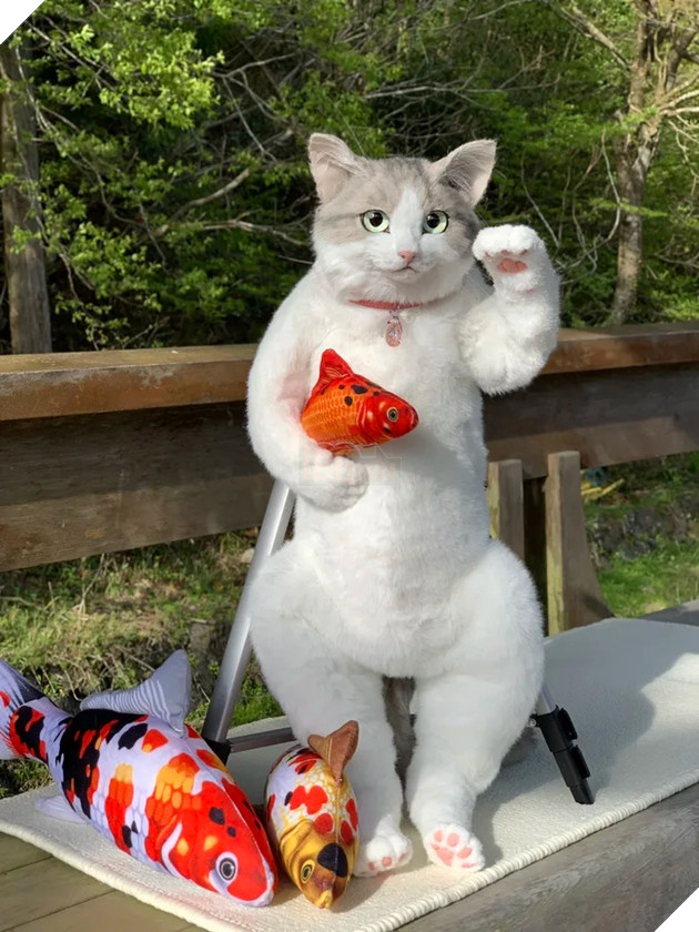 Cộng đồng mạng cười thích thú với chiếc túi với ngoại hình giống y như mèo thật 8