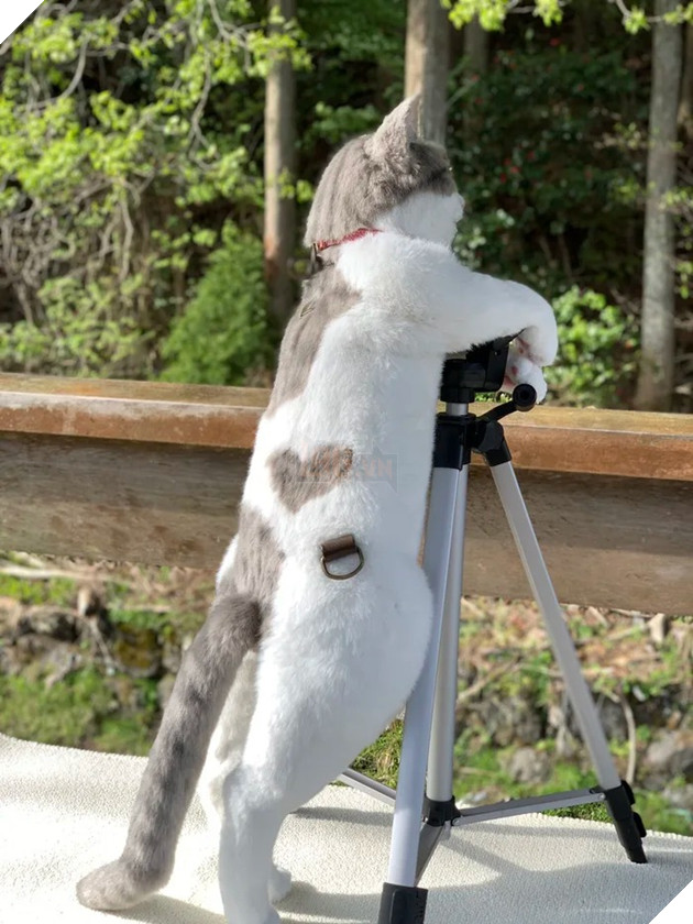 Cộng đồng mạng cười thích thú với chiếc túi với ngoại hình giống y như mèo thật 6