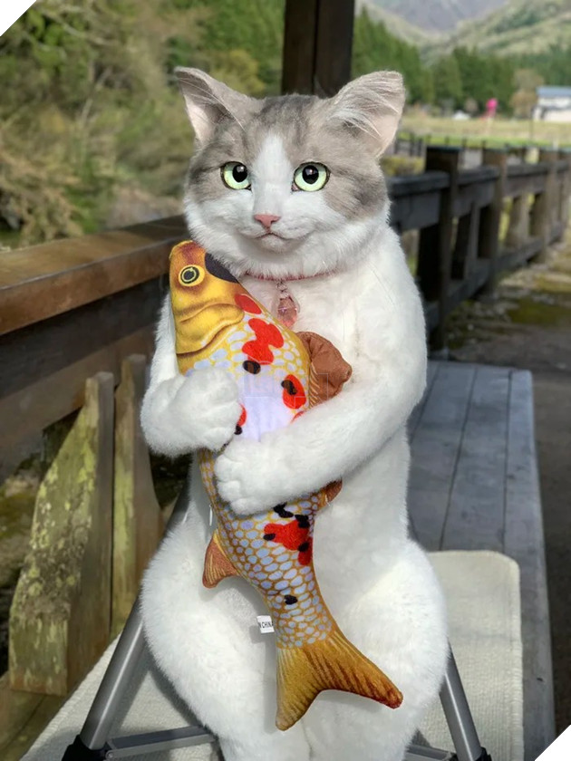 Cộng đồng mạng cười thích thú với chiếc túi với ngoại hình giống y như mèo thật