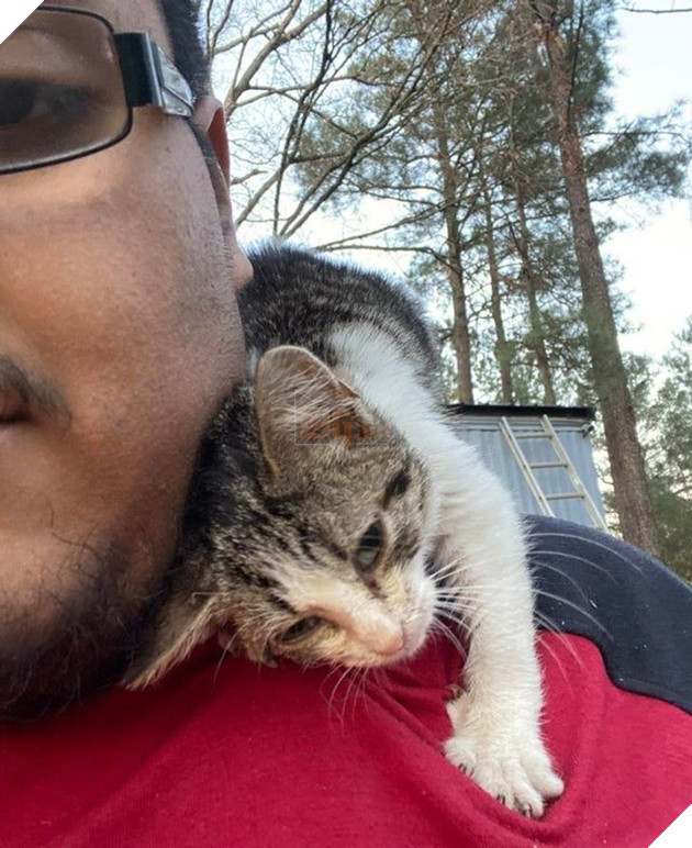 Tổng hợp hình ảnh động vật đầy đáng yêu khiến cho trái tim bạn tan chảy ngay lần đầu nhìn thấy  12