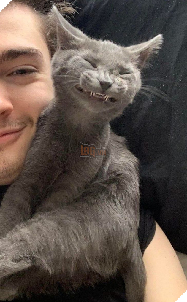 Tổng hợp hình ảnh động vật đầy đáng yêu khiến cho trái tim bạn tan chảy ngay lần đầu nhìn thấy  19