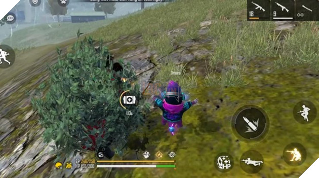 Free Fire: Top 5 kết hợp nhân vật 'rẻ nhưng hiệu quả' trong bản cập nhật OB27 8