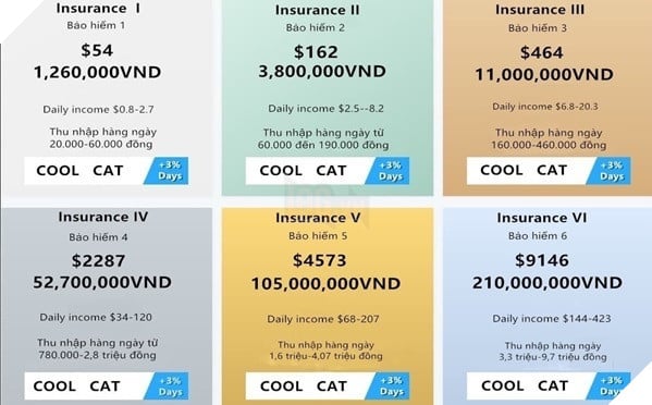 Ứng dụng Coolcat là gì và cách để nó lừa đảo người dùng của mình như thế nào? 2