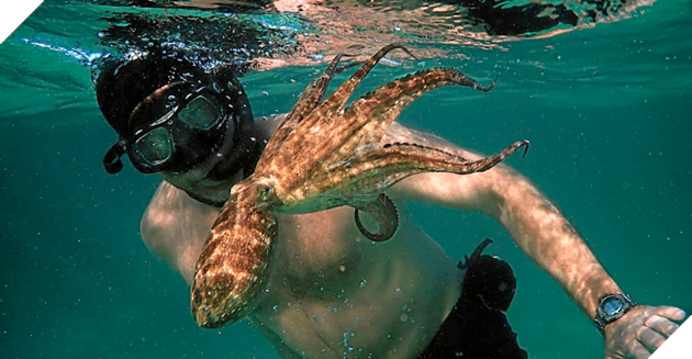 Oscar 2021: Chủ nhân của những tượng vàng danh giá dần lộ diện 6