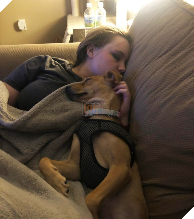 19 tấm hình thú cưng và con người ôm nhau ngủ khiến bạn cảm thấy cuộc đời thật đáng yêu 10