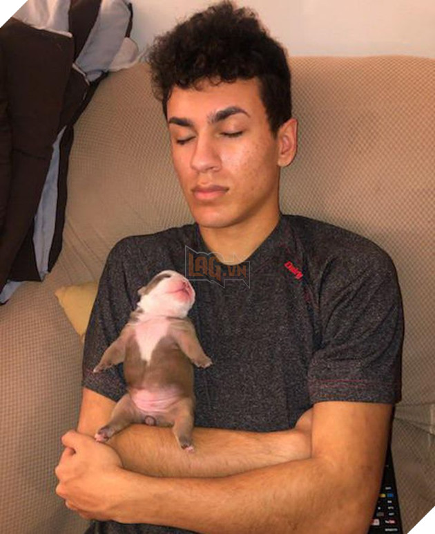 19 tấm hình thú cưng và con người ôm nhau ngủ khiến bạn cảm thấy cuộc đời thật đáng yêu 11