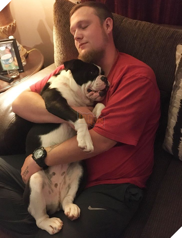 19 tấm hình thú cưng và con người ôm nhau ngủ khiến bạn cảm thấy cuộc đời thật đáng yêu 13