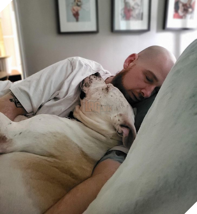19 tấm hình thú cưng và con người ôm nhau ngủ khiến bạn cảm thấy cuộc đời thật đáng yêu 16