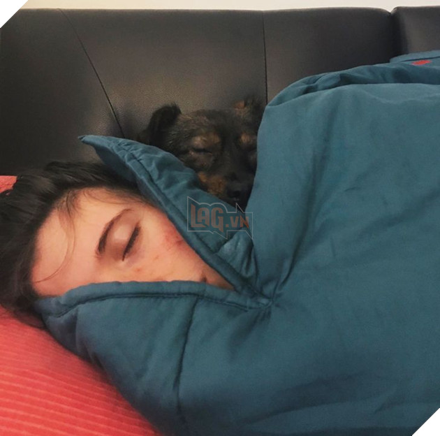 19 tấm hình thú cưng và con người ôm nhau ngủ khiến bạn cảm thấy cuộc đời thật đáng yêu 18