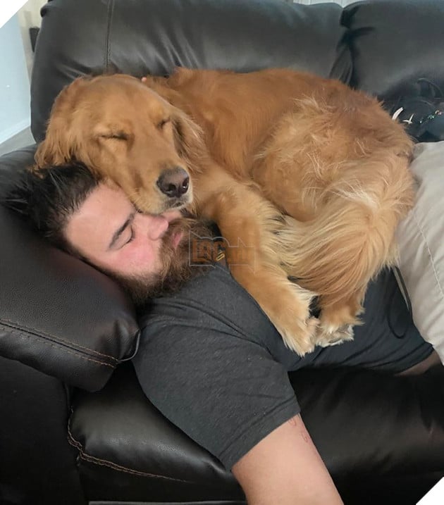 19 tấm hình thú cưng và con người ôm nhau ngủ khiến bạn cảm thấy cuộc đời thật đáng yêu