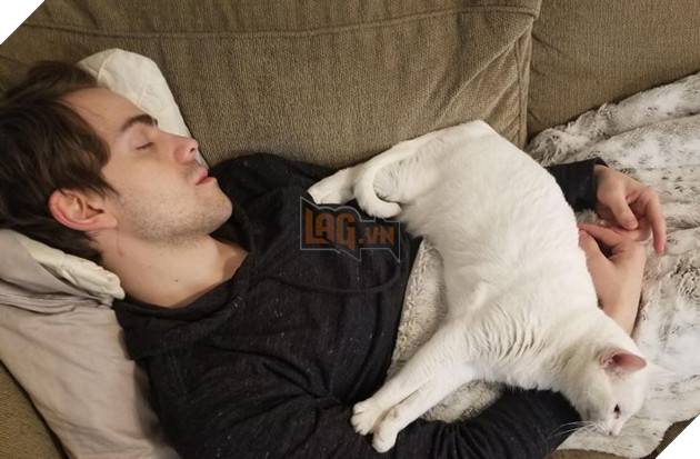 19 tấm hình thú cưng và con người ôm nhau ngủ khiến bạn cảm thấy cuộc đời thật đáng yêu 8