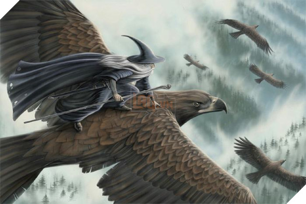 Có thể bạn chưa biết: Lý do thực sự của việc Đại bàng trong LOTR không tự mang chiếc nhẫn đến Mordor 4