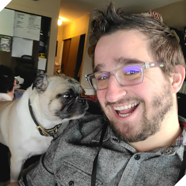 16 hình ảnh các con sen vui vẻ bị làm phiền bởi chó mèo của họ khi làm việc tại nhà 9