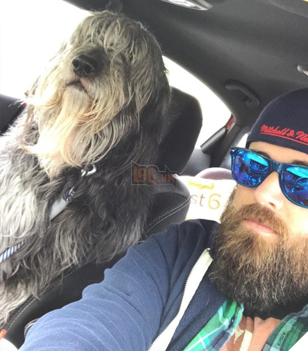 15 hình ảnh khoảng khắc kỳ lạ của thú cưng khiến bạn dễ nhầm tưởng thành 1 sinh vật khác 6