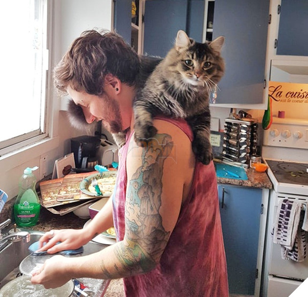 15 hình ảnh khoảng khắc kỳ lạ của thú cưng khiến bạn dễ nhầm tưởng thành 1 sinh vật khác 9