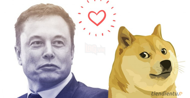 Dogecoin là gì? Liệu bạn có nên đầu tư vào Dogecoin hay không? 3