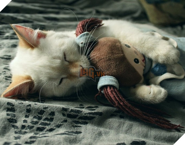 Những góc nghiên cực dễ thương của các hoàng thượng khiên cho các sen phải thốt lên rằng sao mà đáng yêu quá 13