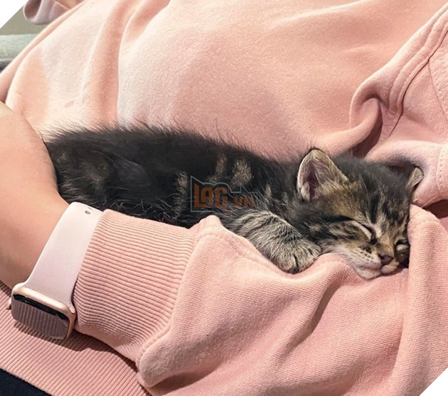 Những góc nghiên cực dễ thương của các hoàng thượng khiên cho các sen phải thốt lên rằng sao mà đáng yêu quá 15