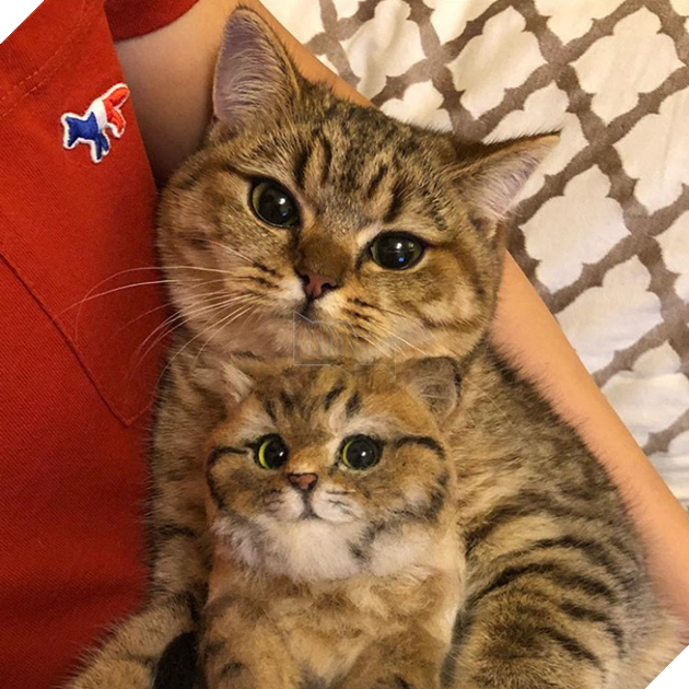 Những góc nghiên cực dễ thương của các hoàng thượng khiên cho các sen phải thốt lên rằng sao mà đáng yêu quá 17