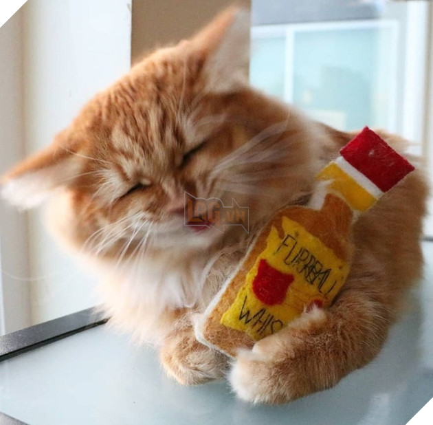 Những góc nghiên cực dễ thương của các hoàng thượng khiên cho các sen phải thốt lên rằng sao mà đáng yêu quá 5