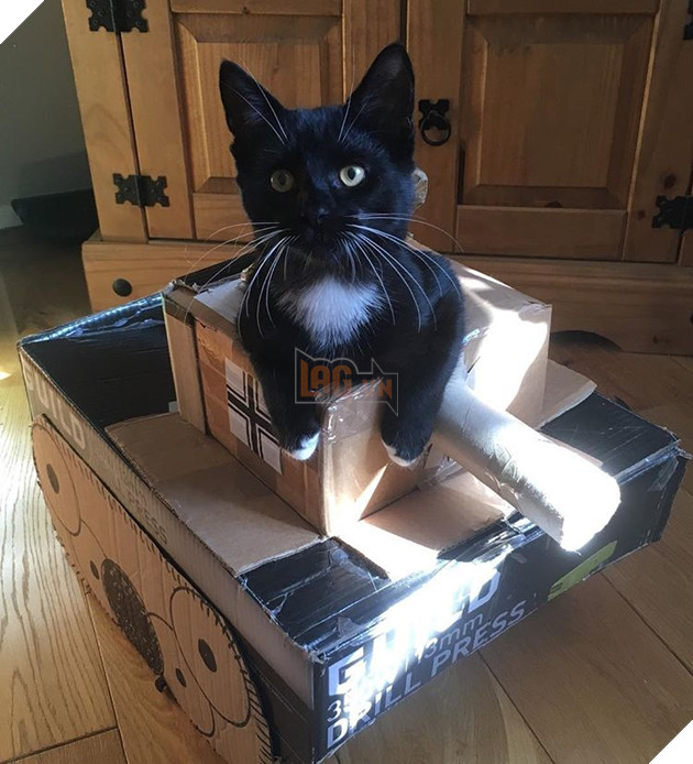 Những hình ảnh hoàng thượng lái xe tăng bìa cứng ra để hù dọa con sen nhìn dễ thương không chịu được