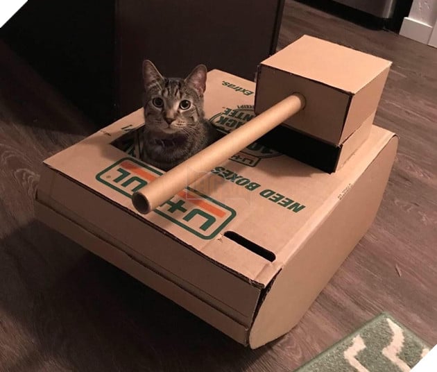 Những hình ảnh hoàng thượng lái xe tăng bìa cứng ra để hù dọa con sen nhìn dễ thương không chịu được 15