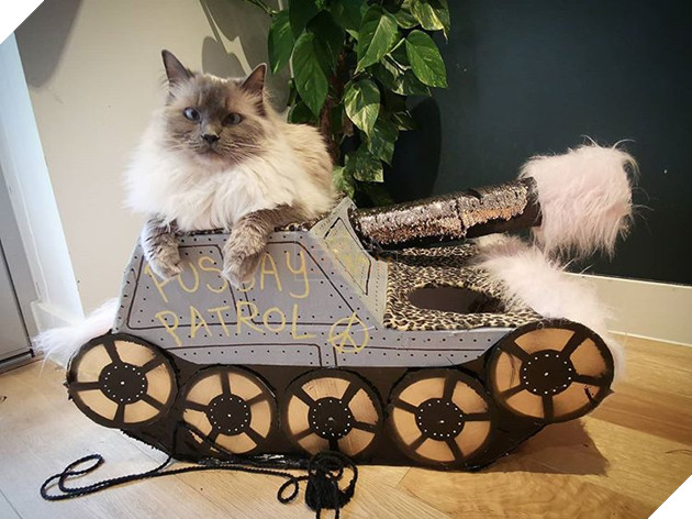 Những hình ảnh hoàng thượng lái xe tăng bìa cứng ra để hù dọa con sen nhìn dễ thương không chịu được 16