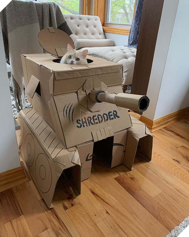 Những hình ảnh hoàng thượng lái xe tăng bìa cứng ra để hù dọa con sen nhìn dễ thương không chịu được 3