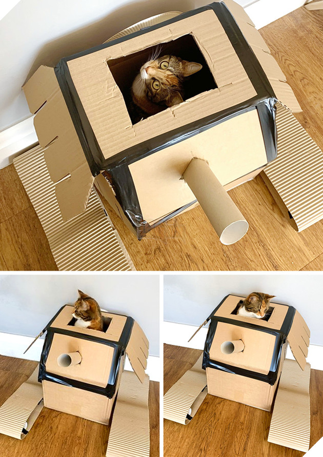 Những hình ảnh hoàng thượng lái xe tăng bìa cứng ra để hù dọa con sen nhìn dễ thương không chịu được 7