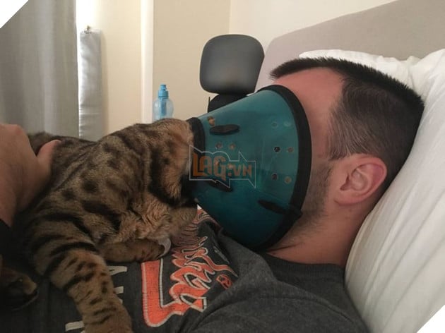 Khi các loài vật bỗng nhiên tham gia phá hoại khiến cho con người vựa bực mình nhưng cũng không nhịn được cười 9