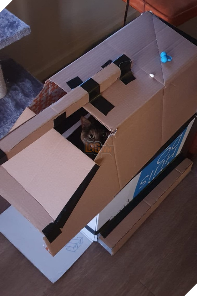 Những hình ảnh hoàng thượng lái xe tăng bìa cứng ra để hù dọa con sen nhìn dễ thương không chịu được 8