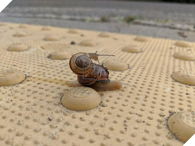 15+ bức ảnh chứng minh sự ủng hộ là điều quý giá nhất trong cuộc sống