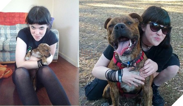 Hơn 20 thú cưng lớn lên thành những quả cầu khổng lồ của tình yêu