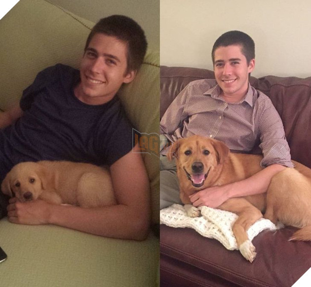 Hơn 20 thú cưng lớn lên thành những quả cầu khổng lồ của tình yêu