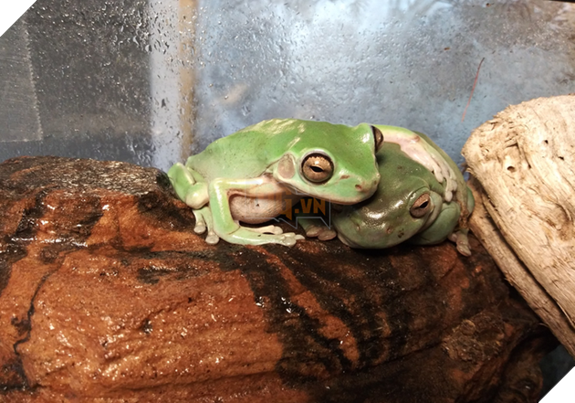 15+ bức ảnh chứng minh sự ủng hộ là điều quý giá nhất trong cuộc sống