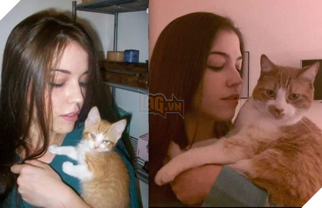 Hơn 20 thú cưng lớn lên thành những quả cầu khổng lồ của tình yêu