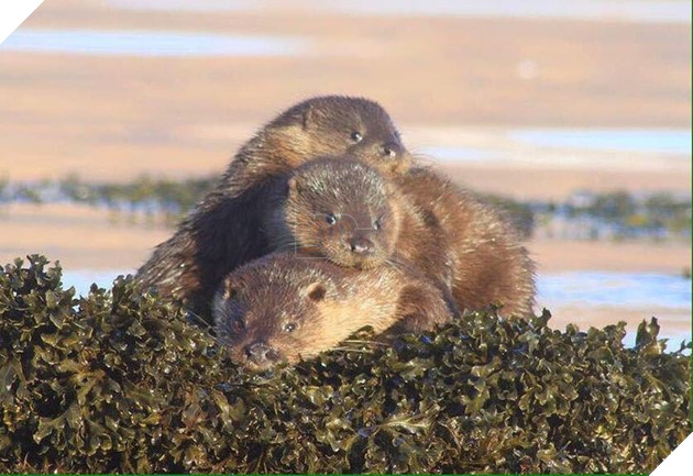 15+ bức ảnh chứng minh sự ủng hộ là điều quý giá nhất trong cuộc sống