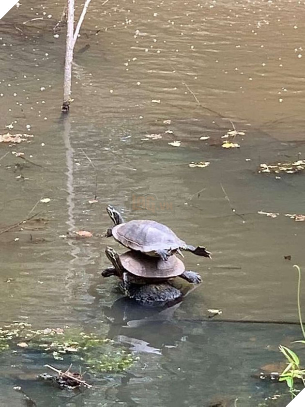 15+ bức ảnh chứng minh sự ủng hộ là điều quý giá nhất trong cuộc sống