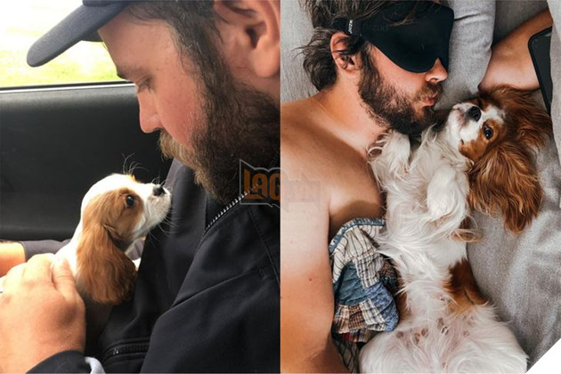 Hơn 20 thú cưng lớn lên thành những quả cầu khổng lồ của tình yêu