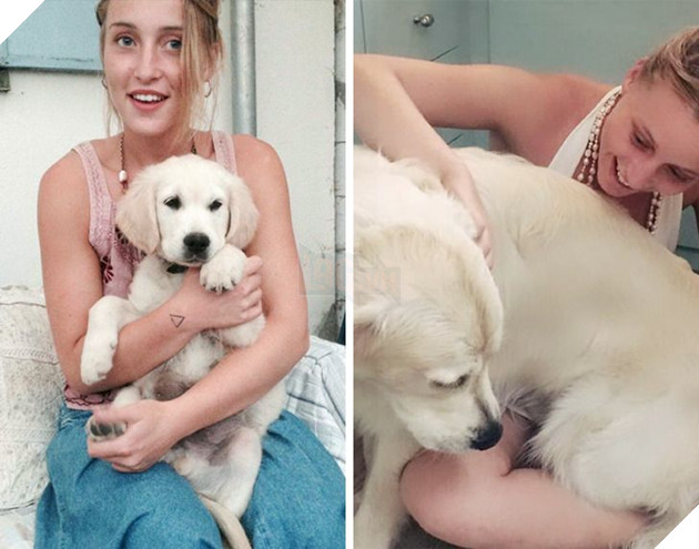 Hơn 20 thú cưng lớn lên thành những quả cầu khổng lồ của tình yêu