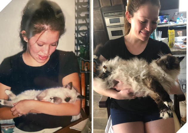 Hơn 20 thú cưng lớn lên thành những quả cầu khổng lồ của tình yêu