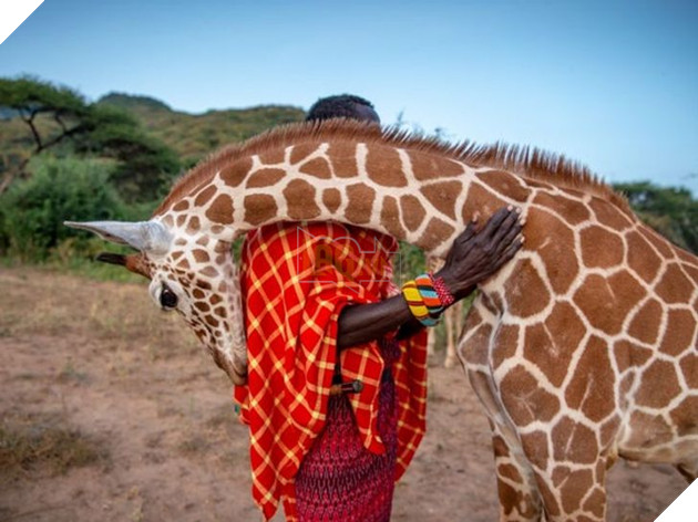 15+ bức ảnh chứng minh sự ủng hộ là điều quý giá nhất trong cuộc sống