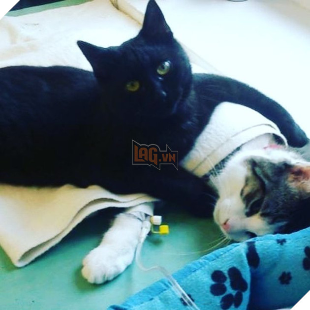 15+ bức ảnh chứng minh sự ủng hộ là điều quý giá nhất trong cuộc sống