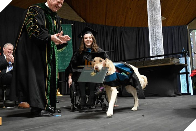 15+ bức ảnh chứng minh sự ủng hộ là điều quý giá nhất trong cuộc sống