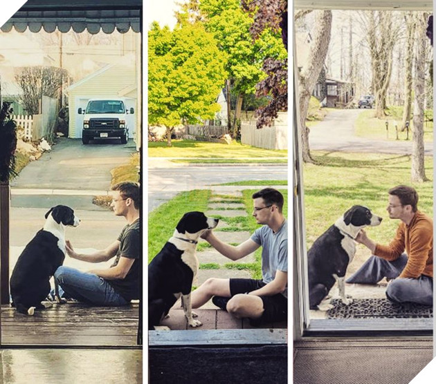 Ấm lòng với 20 hình ảnh các bé thú cưng đã tới tuổi xế chiều nhưng vẫn vô cùng yêu thương các sen 7