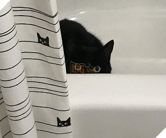 Đó là Smile O'Clock!  15 bức ảnh sẽ thúc đẩy tâm trạng của bạn trong một giây