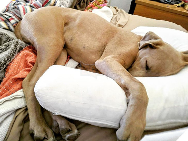 Đó là Smile O'Clock!  15 bức ảnh sẽ thúc đẩy tâm trạng của bạn trong một giây