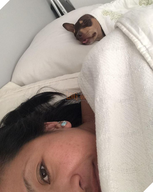 Đó là Smile O'Clock!  15 bức ảnh sẽ thúc đẩy tâm trạng của bạn trong một giây