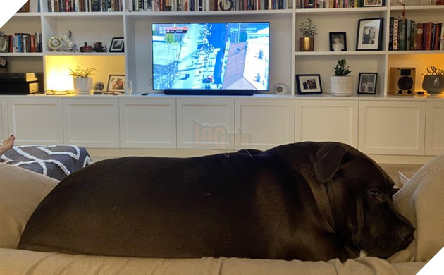 Đó là Smile O'Clock!  15 bức ảnh sẽ thúc đẩy tâm trạng của bạn trong một giây