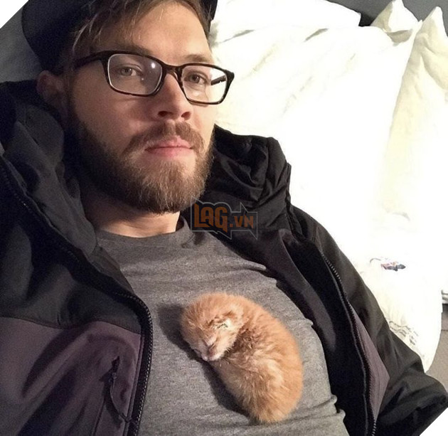 20 bức ảnh về chó mèo ấm áp như tình yêu thương của gia đình 16